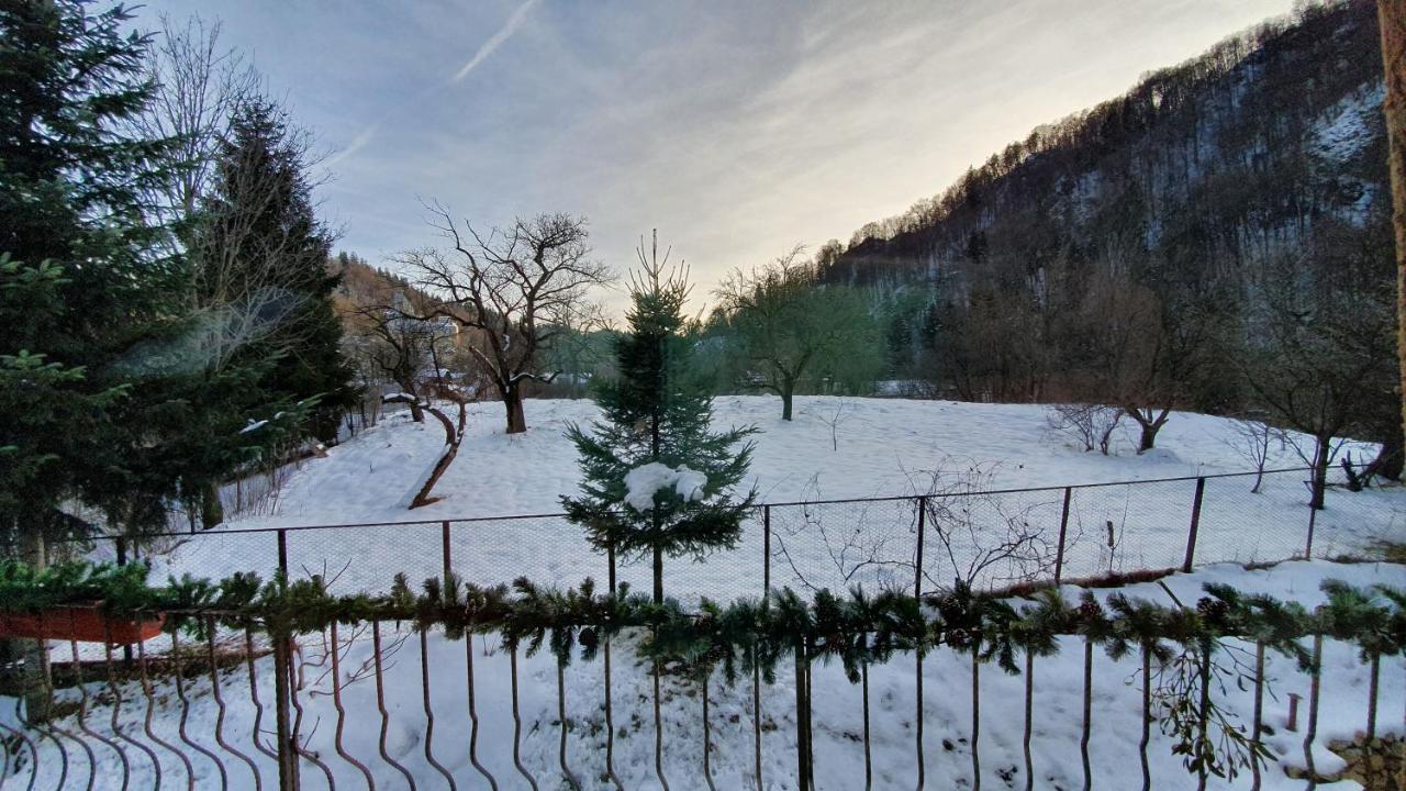 Villa Bran 99 Exterior foto