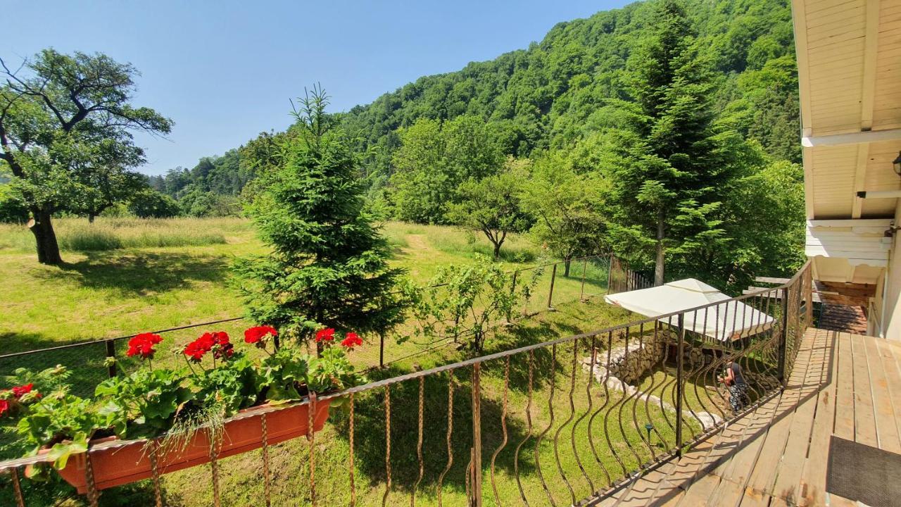 Villa Bran 99 Exterior foto